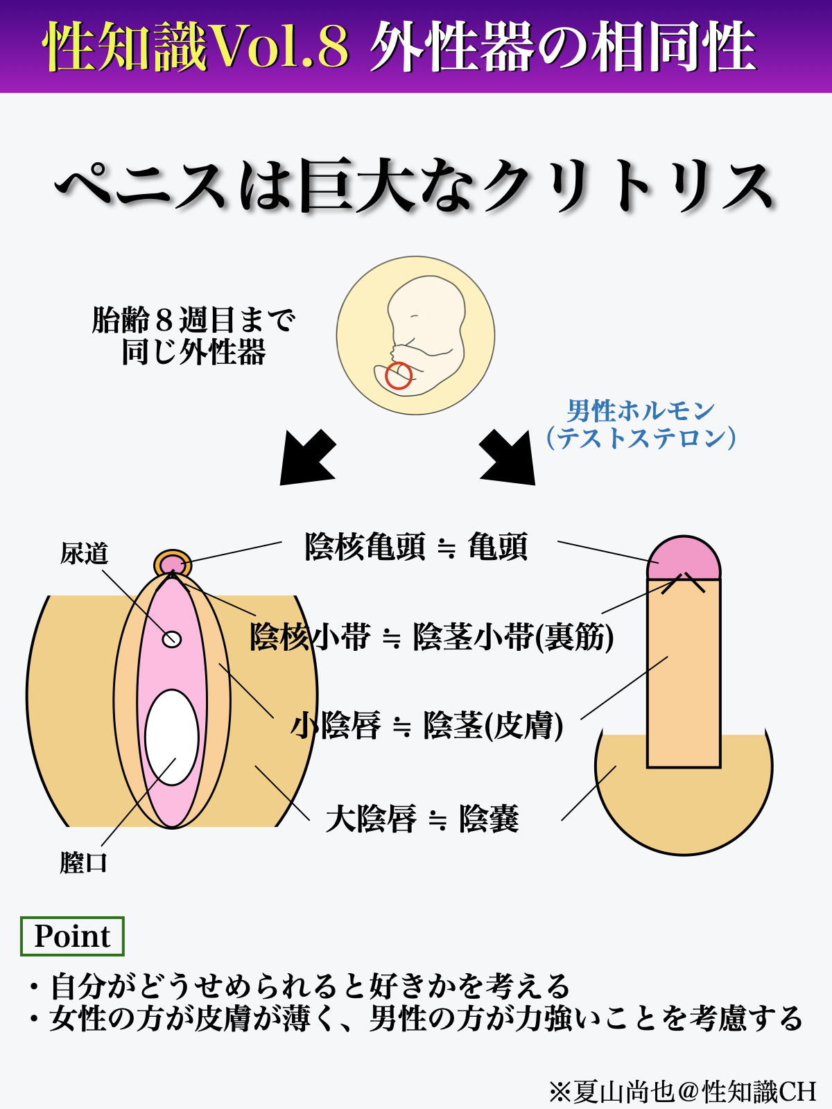 クリトリス,女性器の知識/千葉 横浜のサンライズ美容外科