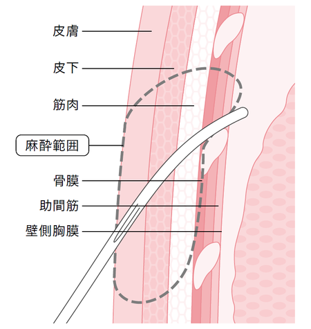 あなたのセックスによろしく 快楽へ導く挿入以外の140の技法ガイド : ジュン・プラ