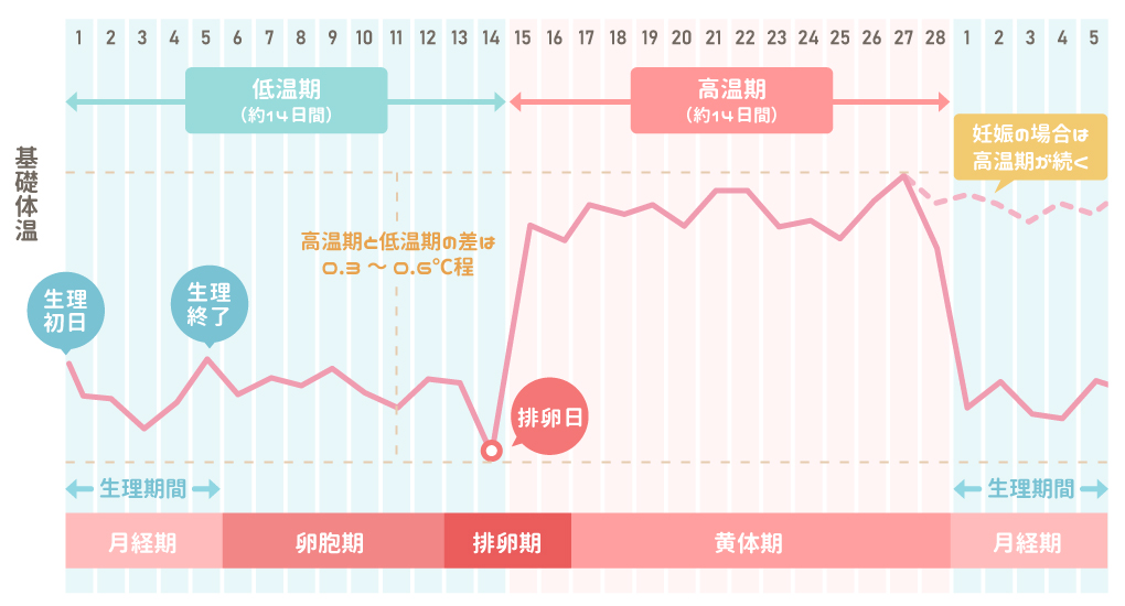 生理直前になると、手足が冷えて寒気を感じます。