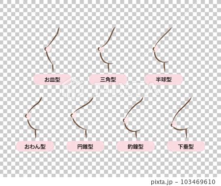 質問です。女性のバストの形で「おわん型」と「釣鐘型 - 釣鐘 型 胸