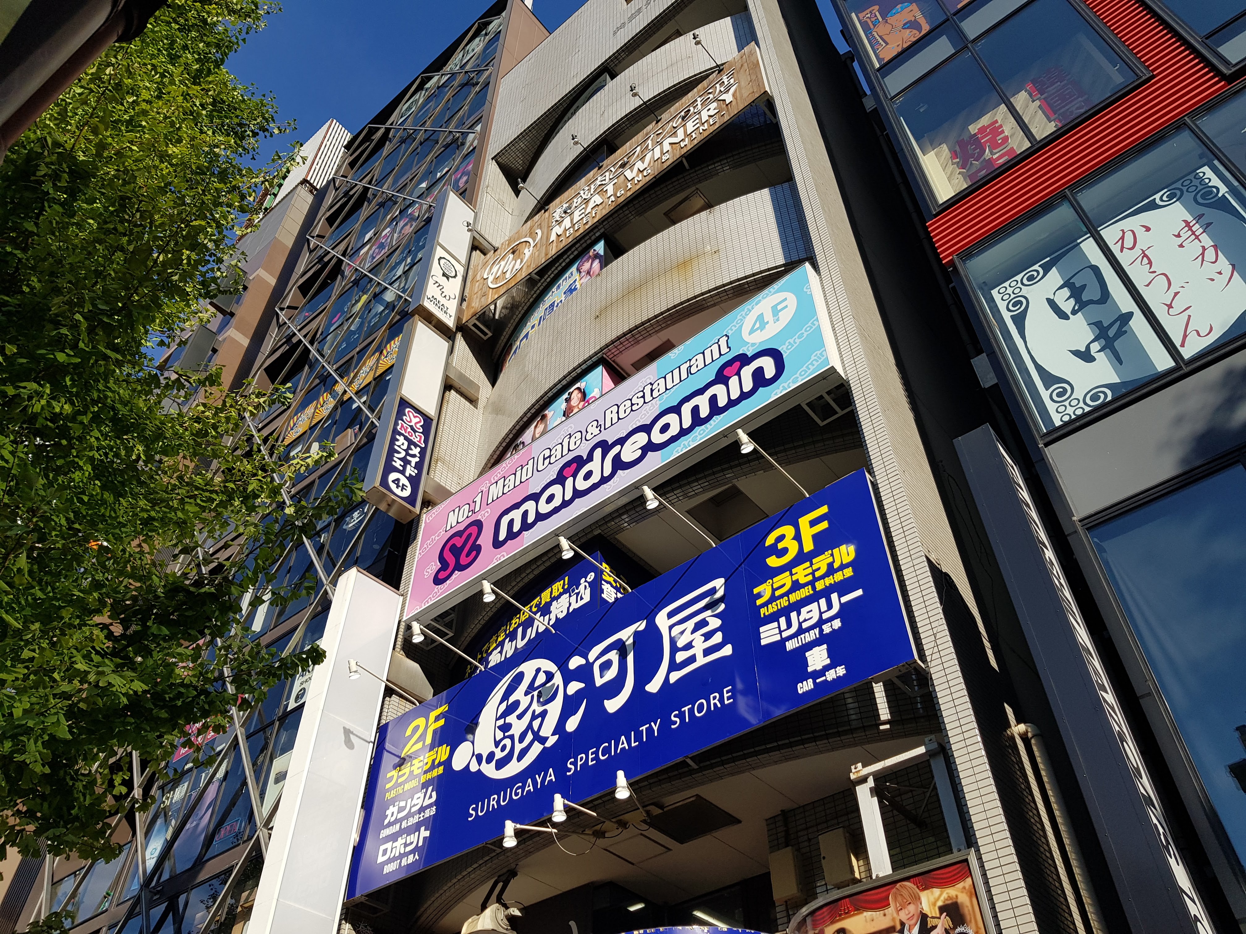 Tokyo, Akihabara] All-you-can-drink at