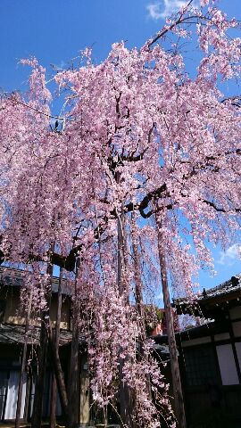 光と風と水の物語～門脇みつひろ: 小松ひとみさんの写真展が始まりました