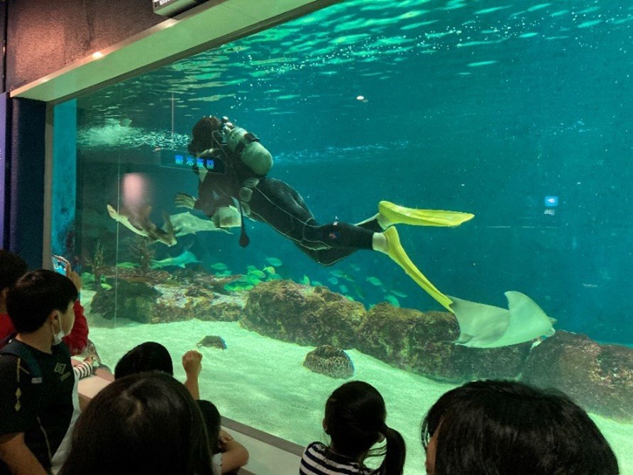 札幌市】はじめてのサンピアザ水族館が予想よりはるか上だった！（ムライヒロコ） - エキスパート - Yahoo!ニュース