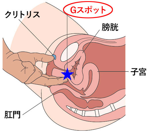 手マンで女性をエロく乱れさせる方法【本気で感じたテクだけを厳選】