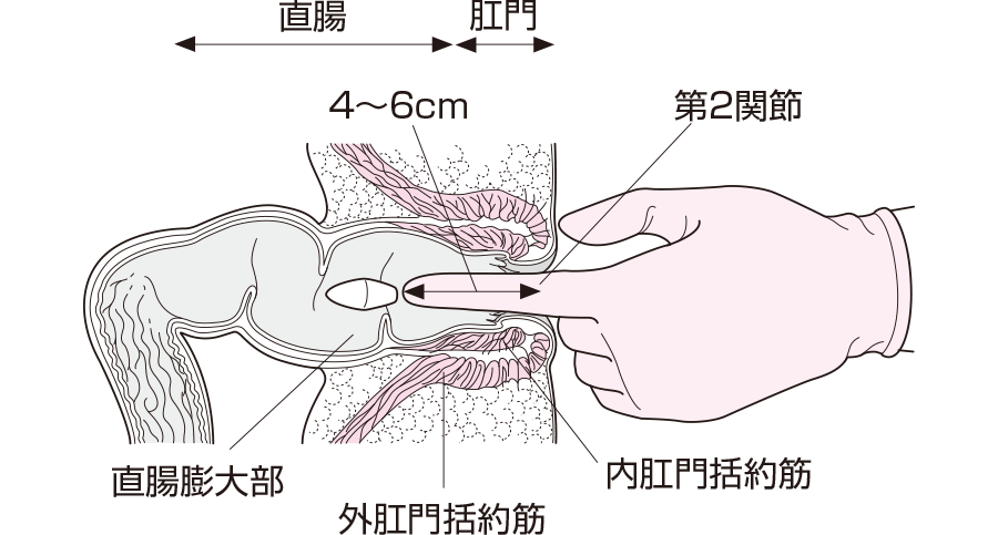 2024】イラストレーターで画像を挿入する方法を紹介！リンク配置と埋め込みの違いも解説 | BIZ ROAD（ビズロード）