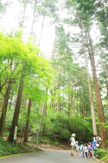 神奈川県南足柄市の14日間(2週間)の1時間ごとの天気予報 -Toshin.com 天気情報