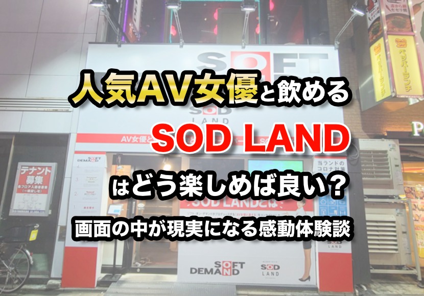 AVメーカーの直営店が摘発》歌舞伎町の性の殿堂「SODランド」はヤリ過ぎだったのか？「マジックミラー」に「ノーパンデー」異次元レベルの接客は「グレーだったかも…」  | 文春オンライン