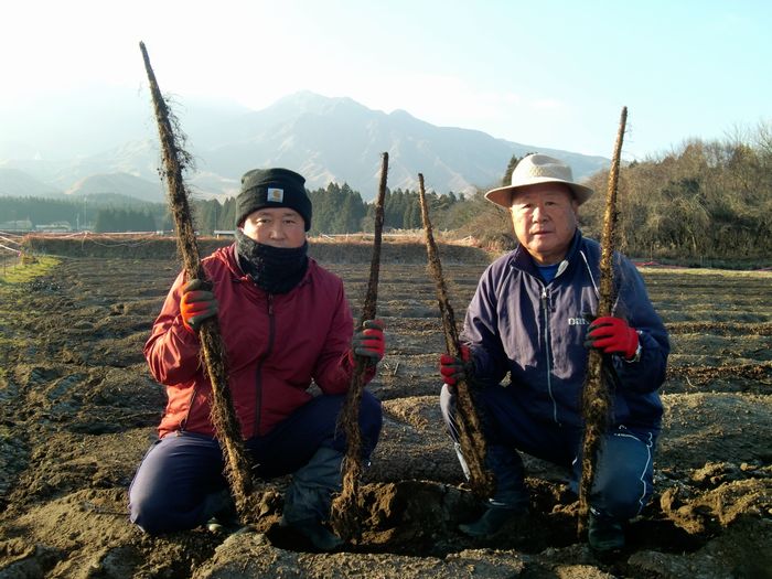 熊本・天草の食材を用いた限定メニュー前菜「晩柑の装い」・肉料理「あまくさ黒牛サーロイン」【期間】2024 年 3 月 15