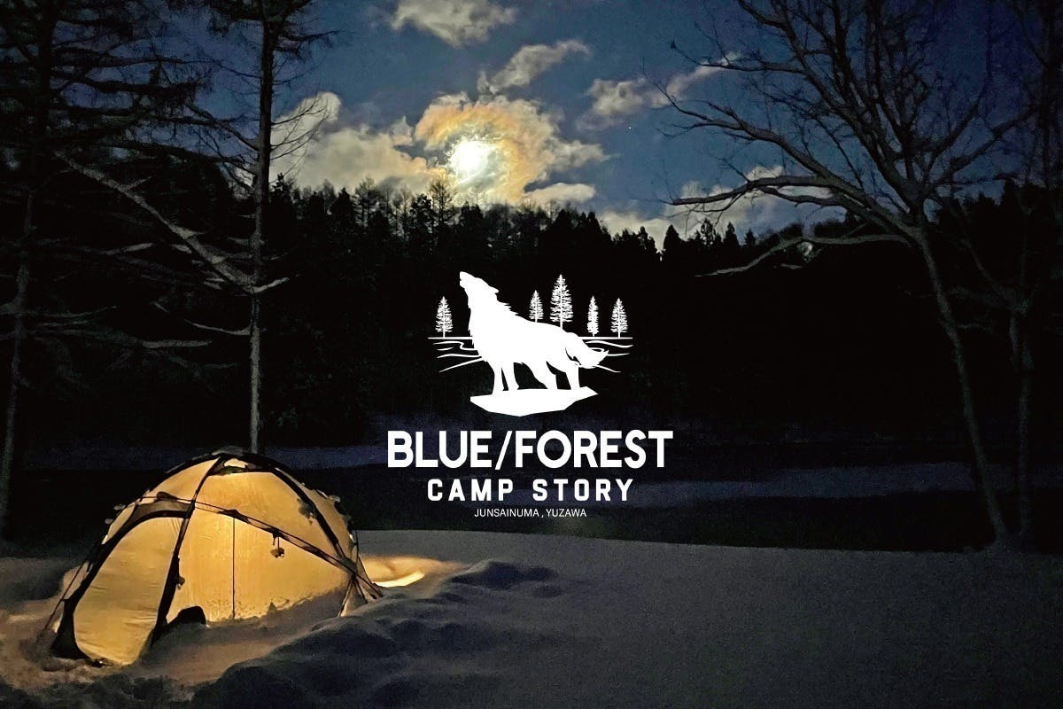 FOREST BLUE -