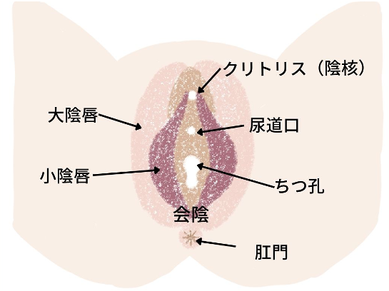 一宮市近くのおすすめ淫乱・イラマチオ嬢 | アガる風俗情報