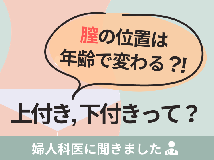 姿勢・アライメントの基準まとめ⑤〜大腿骨前捻角、膝蓋骨、下腿過外旋、距骨〜 - forPT