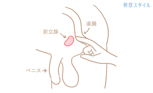 ドライオーガズムって、実際どのくらいの成功確率なの？｜ 名古屋・錦の痴女M性感フェチ風俗｜名古屋痴女性感フェチ倶楽部名古屋店｜スターグループ