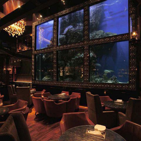 LUXIS（ラグシス）恵比寿 AQUA RESTAURANT ＆ BAR