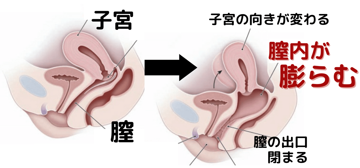 精子が薄いけどヤバイ？？少ない精子を濃くする方法7選