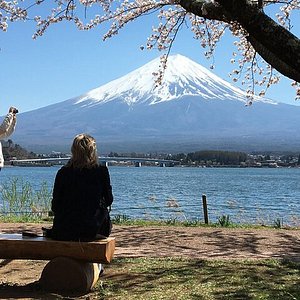 禅宗古刹で味わう精進料理・京都着物レンタル夢館が『退蔵院・お食事付き紅葉特別拝観』オプションを始めました。 企業リリース |