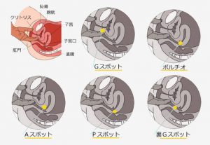 女性の性感帯はどこ？ 快感を得られる部位とセックスで刺激する方法を解説【医師監修】（1ページ目）｜「マイナビウーマン」