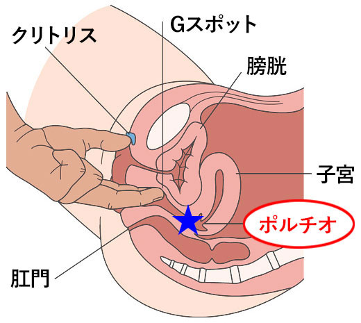 女性のイカせ方・イカせる方法を徹底解説！【エッチが上手な男性実践済み】｜駅ちか！風俗雑記帳