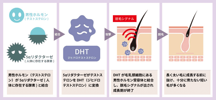 オナニーのやり方【女性編】｜コツは3つの性感帯の探し方と刺激方法にある | 風俗部