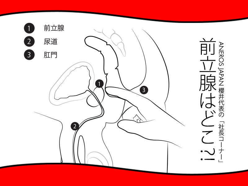 エネマグラとは？使い方とドライオーガズム - 夜の保健室