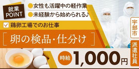 山口県宇部市善和)半導体製品の検査・検 | 派遣の仕事・求人情報【HOT犬索（ほっとけんさく）】