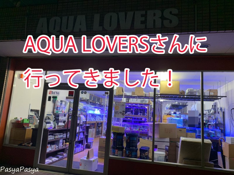 海水魚販売、サンゴ販売のAQUA LOVERS (@aqua_1135) • Instagram