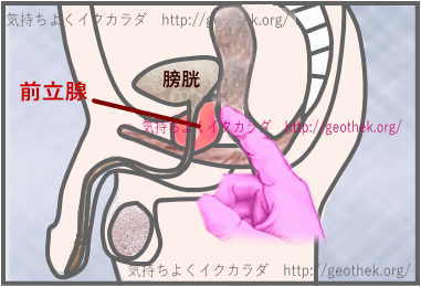 前立腺責めのやり方とコツ！気持ちいい前立腺マッサージの方法をイラストで解説