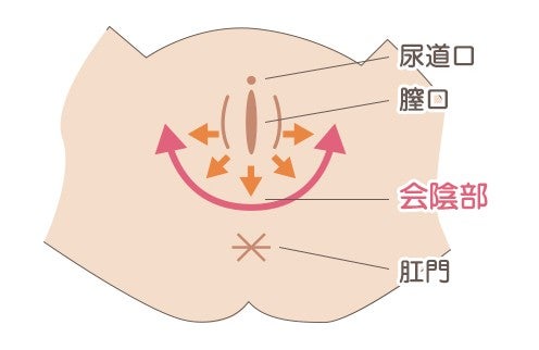 骨盤臓器脱 (子宮脱/膣脱・性器脱/膀胱瘤/尿道瘤) とは？