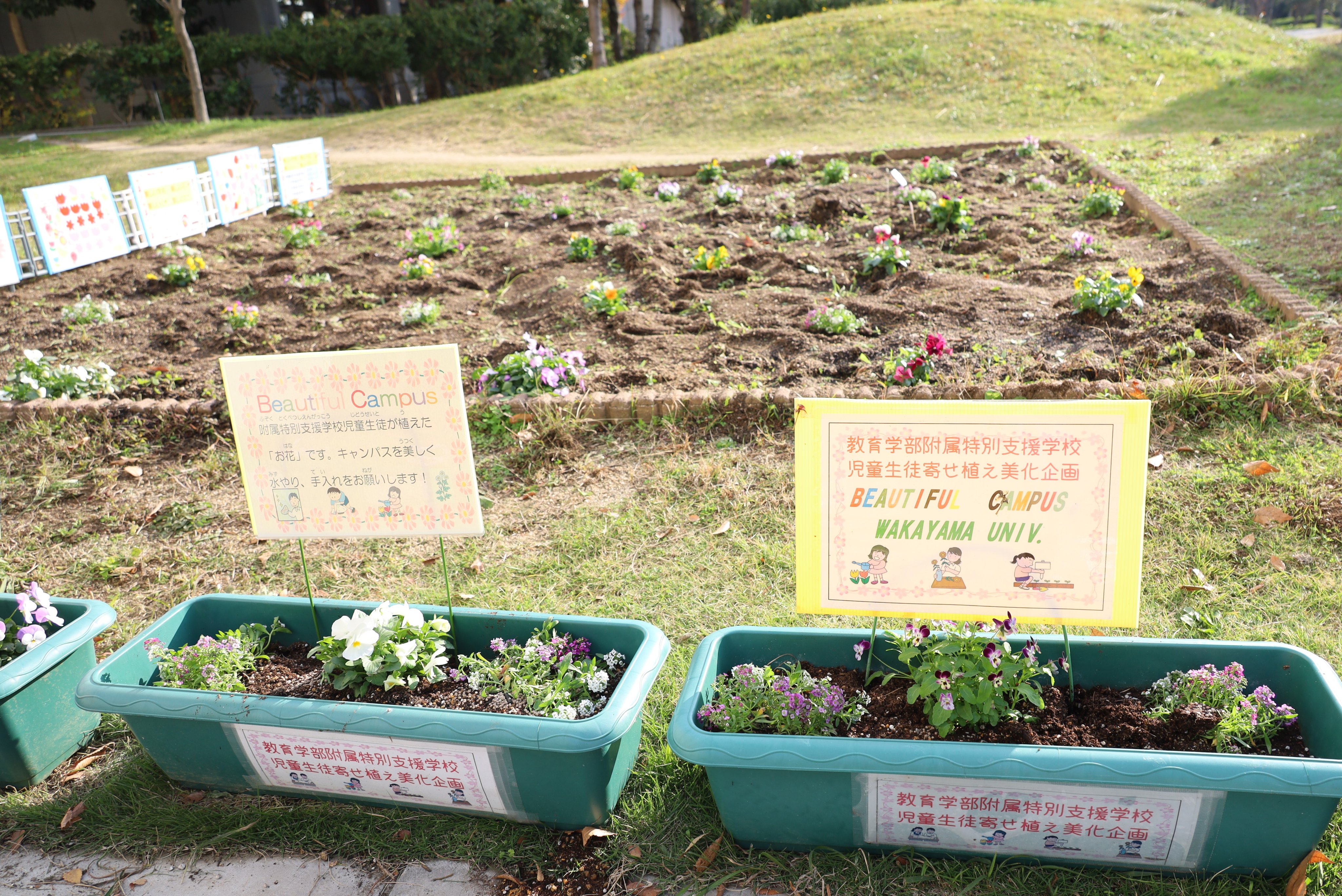 天王新地で遊んできました（３月３０日訪問） | 新地くん