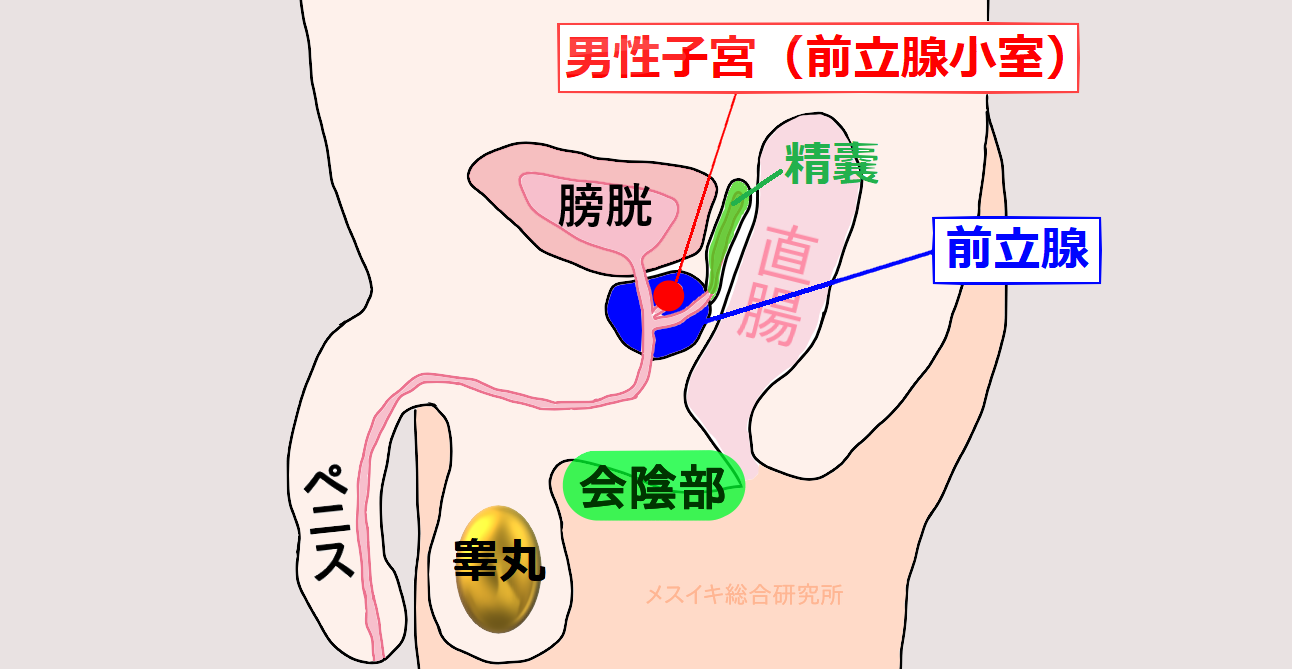 ナンバーワンホストがナンバーワンメスイキオス！～ 鬼畜ホストにモてない男たちが復讐のメスイキ調教 ～（完結） |