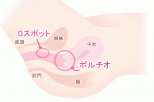 クリトリス構造をAV女優と一緒に医学的観点から解説 – メンズ形成外科