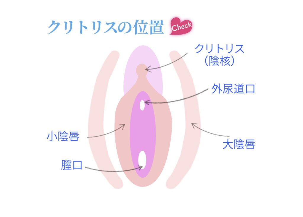 クリトリスの気持ちいい触り方！基本からイカせるコツ・NGまで解説│熟女動画を見るならソクヨム