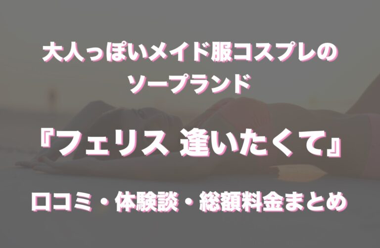 Ｆｅｌｉｃｅ（フェリーチェ）の賃貸物件 | 【夜職賃貸】すすきの、札幌の水商売（夜職）向けの賃貸物件専門