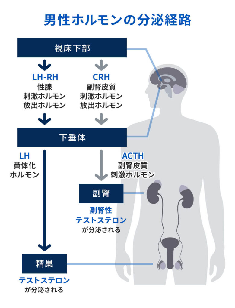 あおぞらクリニック