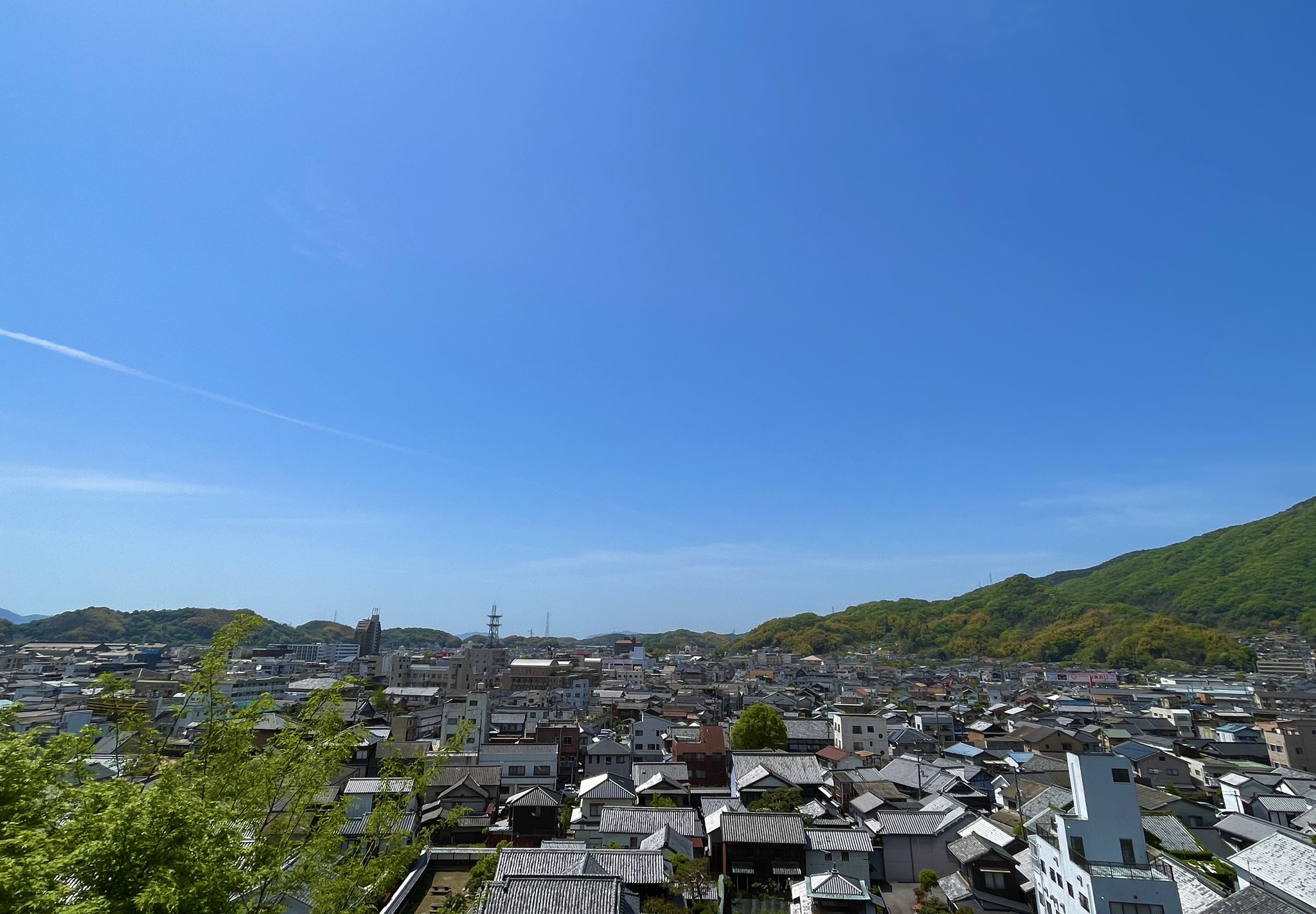 天国から見守る看板猫サヴォンへの想いを乗せて。保護猫たちのご縁をつなぐカフェ「たまゆらん」の復活へ ― たまゆらんオーナー・大村さんインタビュー