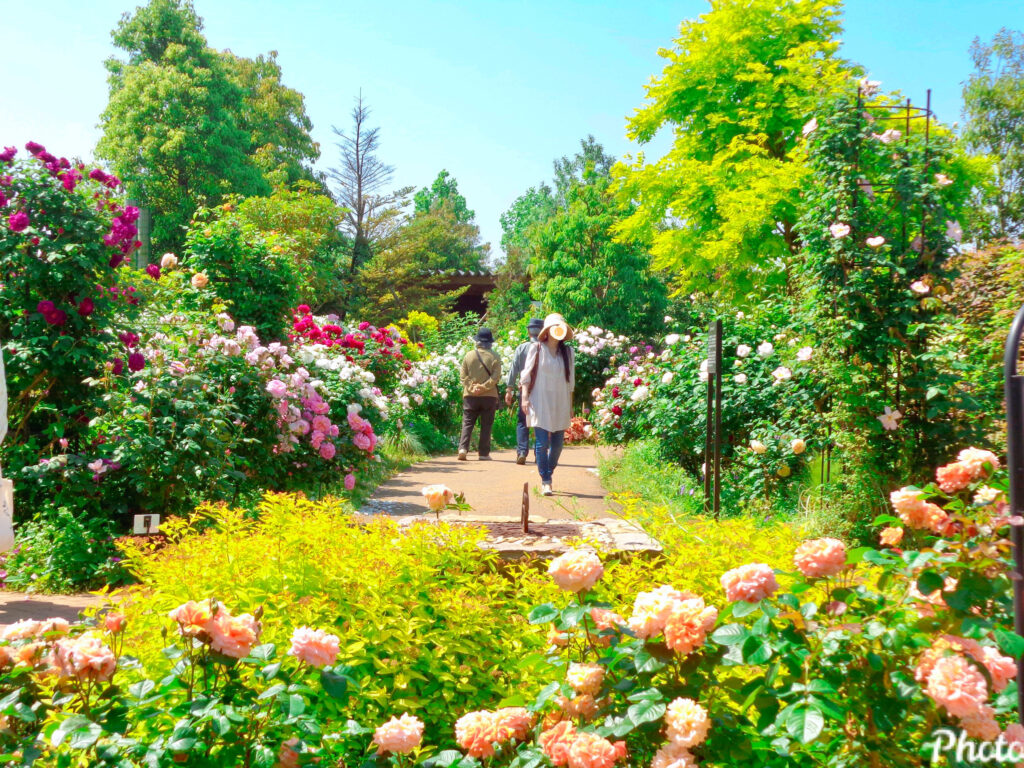 トップページ - 神奈川県立花と緑のふれあいセンター 花菜ガーデン