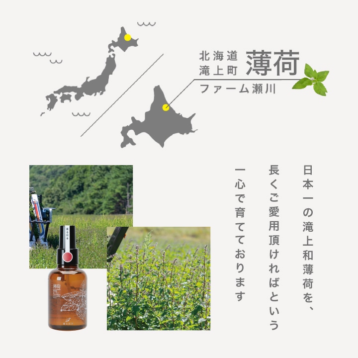 楽天市場】デイリーアロマ 高知県産YUZU リードディフューザー(120ｍL) 柚子の香り