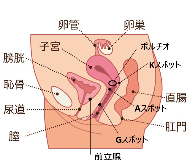 目黒の出張メンズエステで23000円払うとヤれた件 | お宝エログ幕府