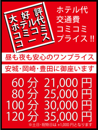 みほ | 三河安城人妻デリヘル