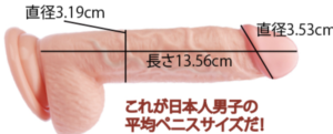 ペニスの大きさ平均は13cm！女性の理想サイズはさらにデカい！？｜薬の通販オンライン