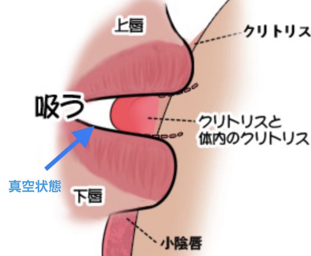 調教開発】【クリトリス肥大化/デカクリ化】クリトリス肥大化の仕組みと注意点 【舐め犬クンニ|中イキ開発】