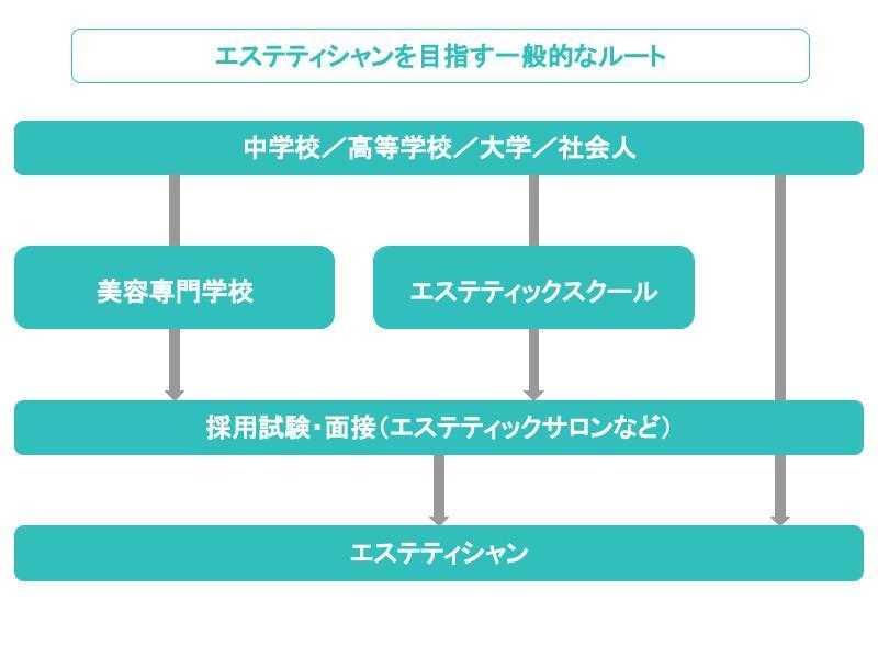 エステコンサルタント エステスクール 資格取得 |