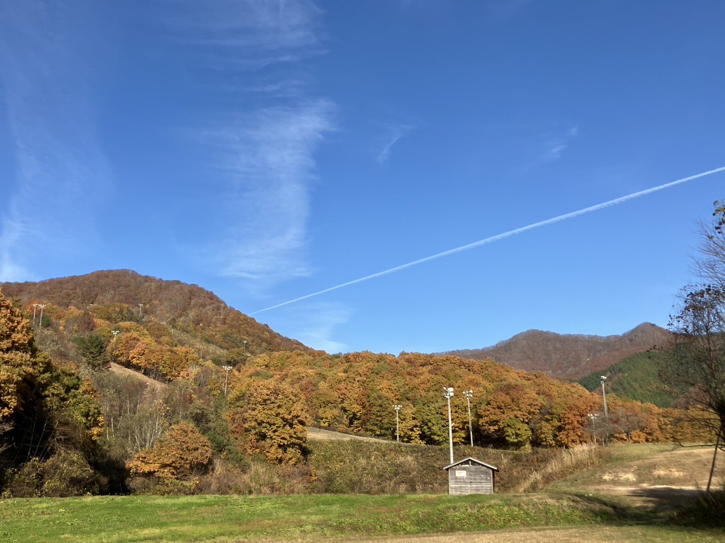 鳥開 総本店 FC金山店(金山/居酒屋)＜ネット予約可＞ |