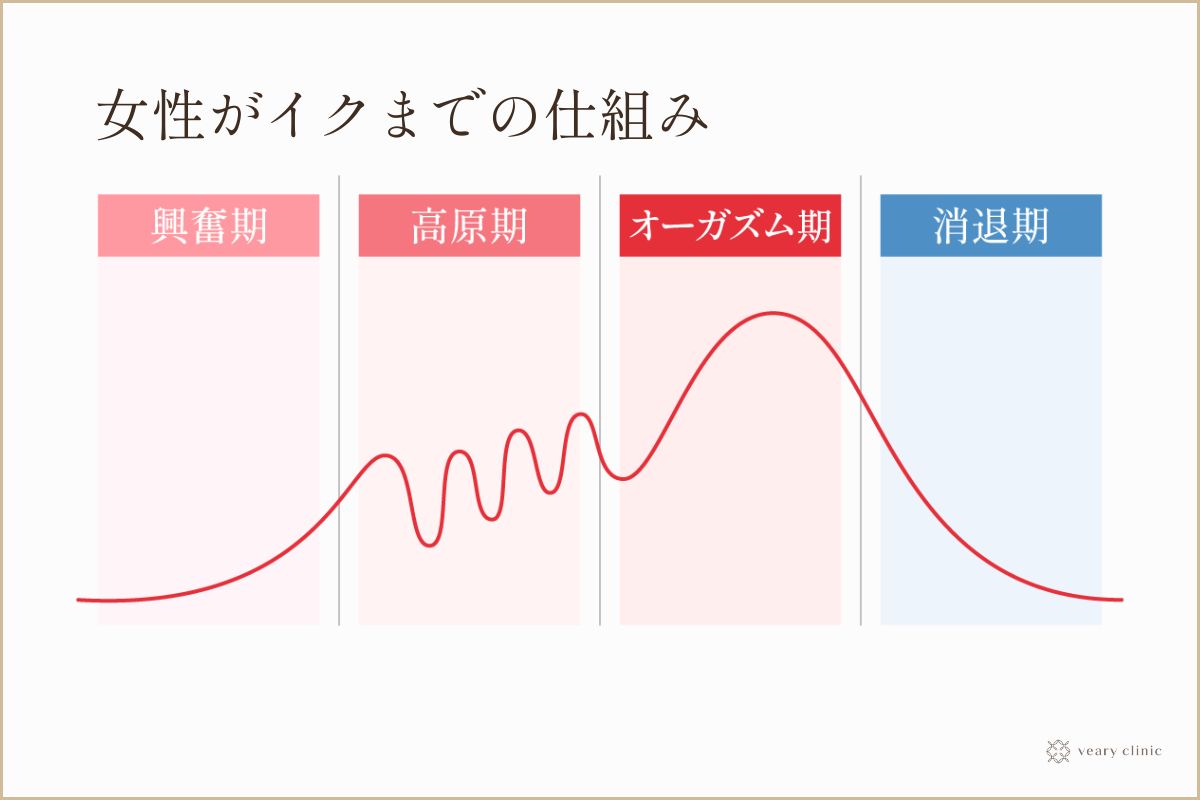 【みんなの疑問】女性が『イク』ってどういうこと？どうしたらいけるの？を女医が真面目に解説します。