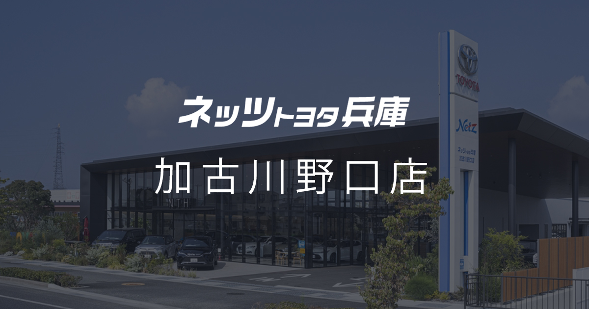 小春、散歩中に立派な角の鹿クンと遭遇！！ | 姫路市・加古川市周辺でおしゃれな注文住宅を建てるならヤマヒロ