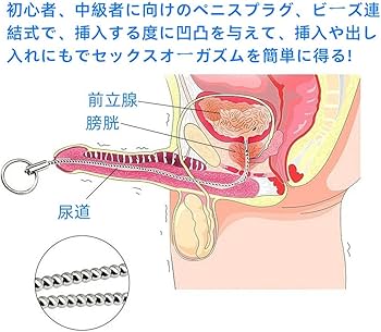 去勢刑：マゾ男の娘メイド 葵（あおい） 膀胱吊り責めプレイ（都魔子）の通販・購入はメロンブックス | メロンブックス