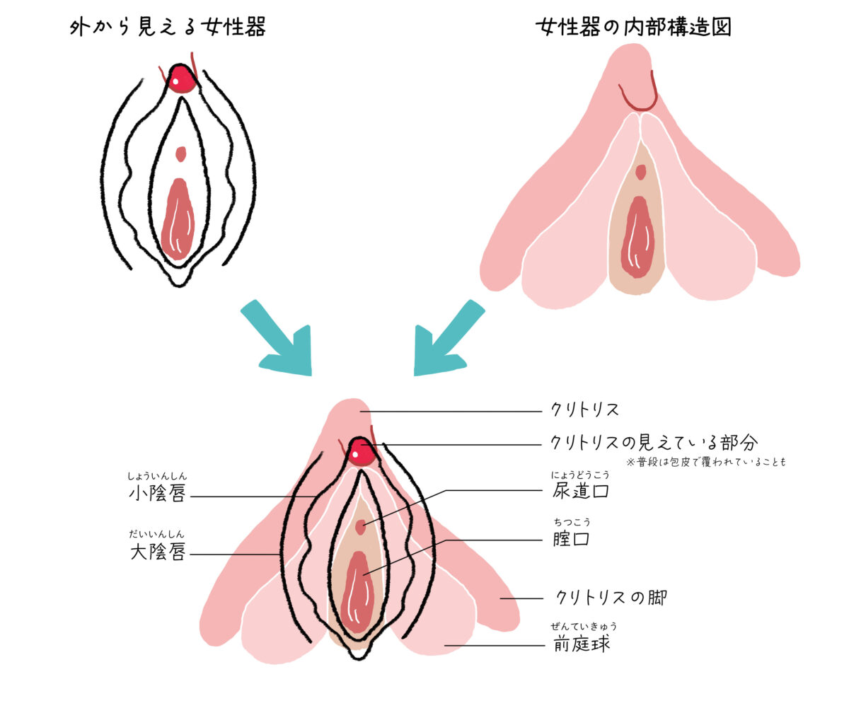 セックスでイク方法！女性がイク感覚とは - 夜の保健室