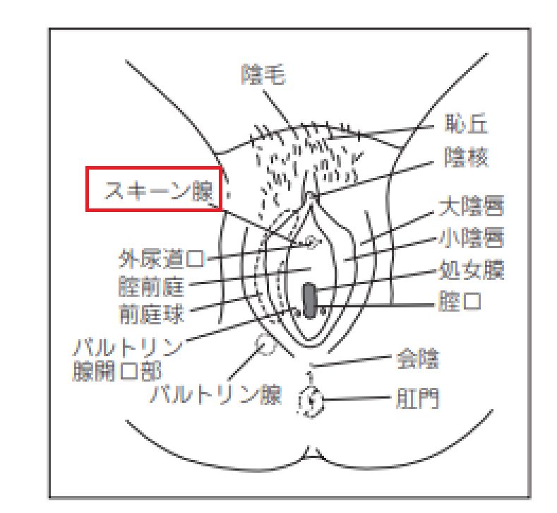 会陰こすりつけオナニーで最後は震えながら大量射精