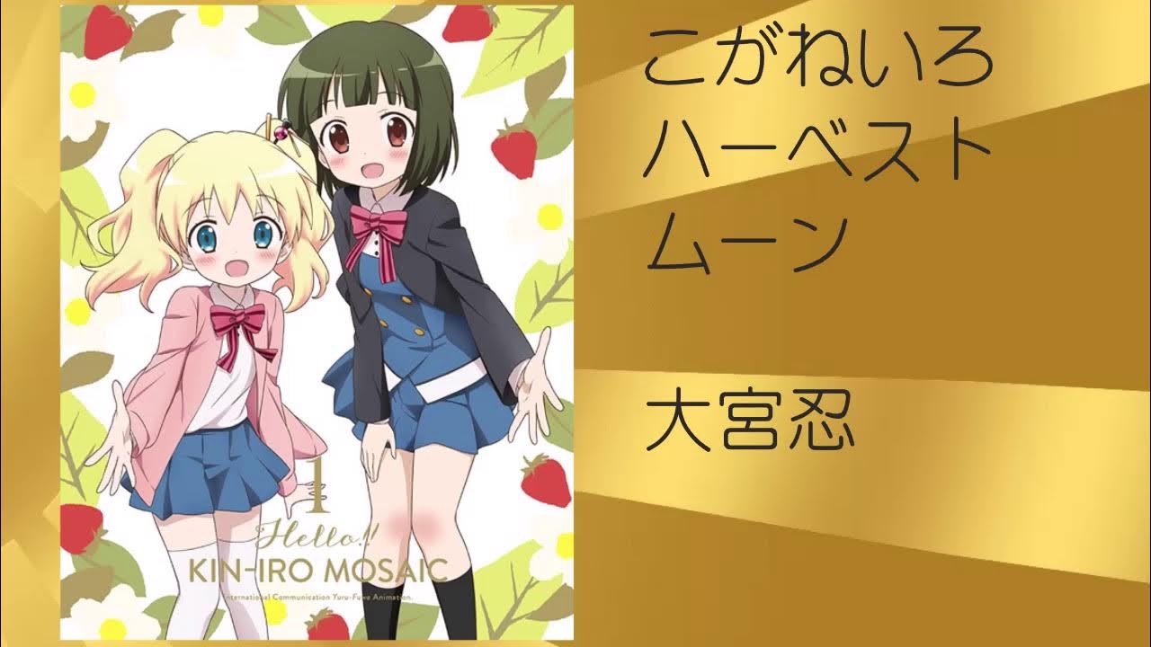 9月の満月 ハーベストムーン | 娘猫の闘病日記 愛の力で治すのだ！