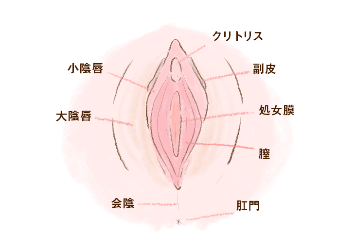 クリトリスを拡張・増大する方法｜簡単にできるクリ育の手順とは