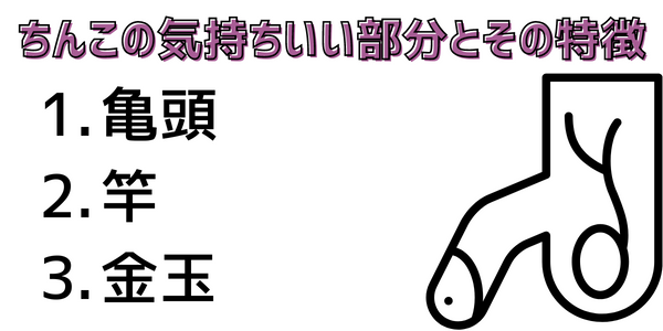 コックリング使うとめちゃ気持ちいいわ – おなほっと